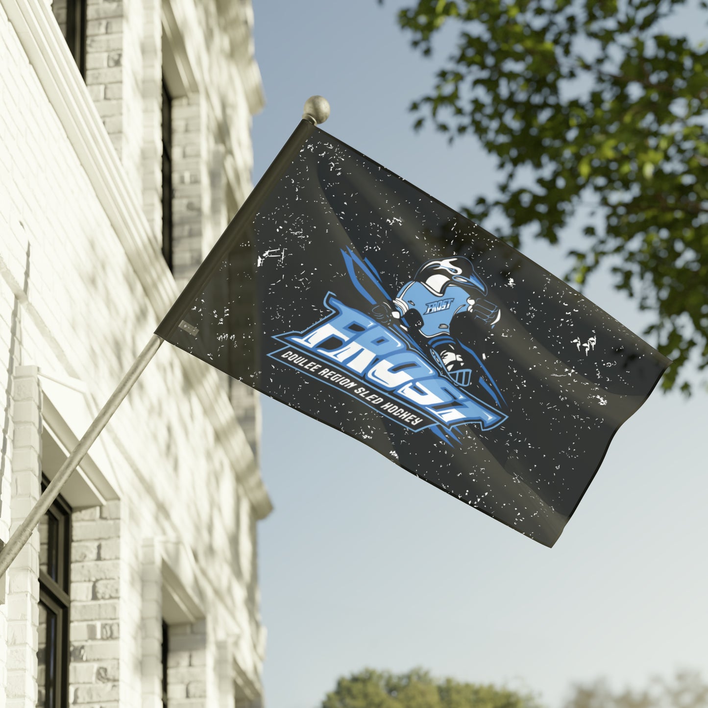 FROST Flag