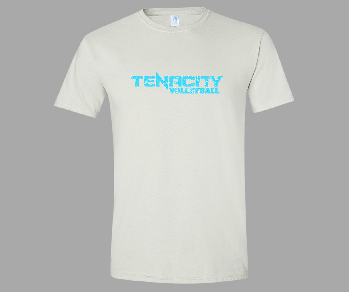 TENACITY distressed logo tee GILDAN