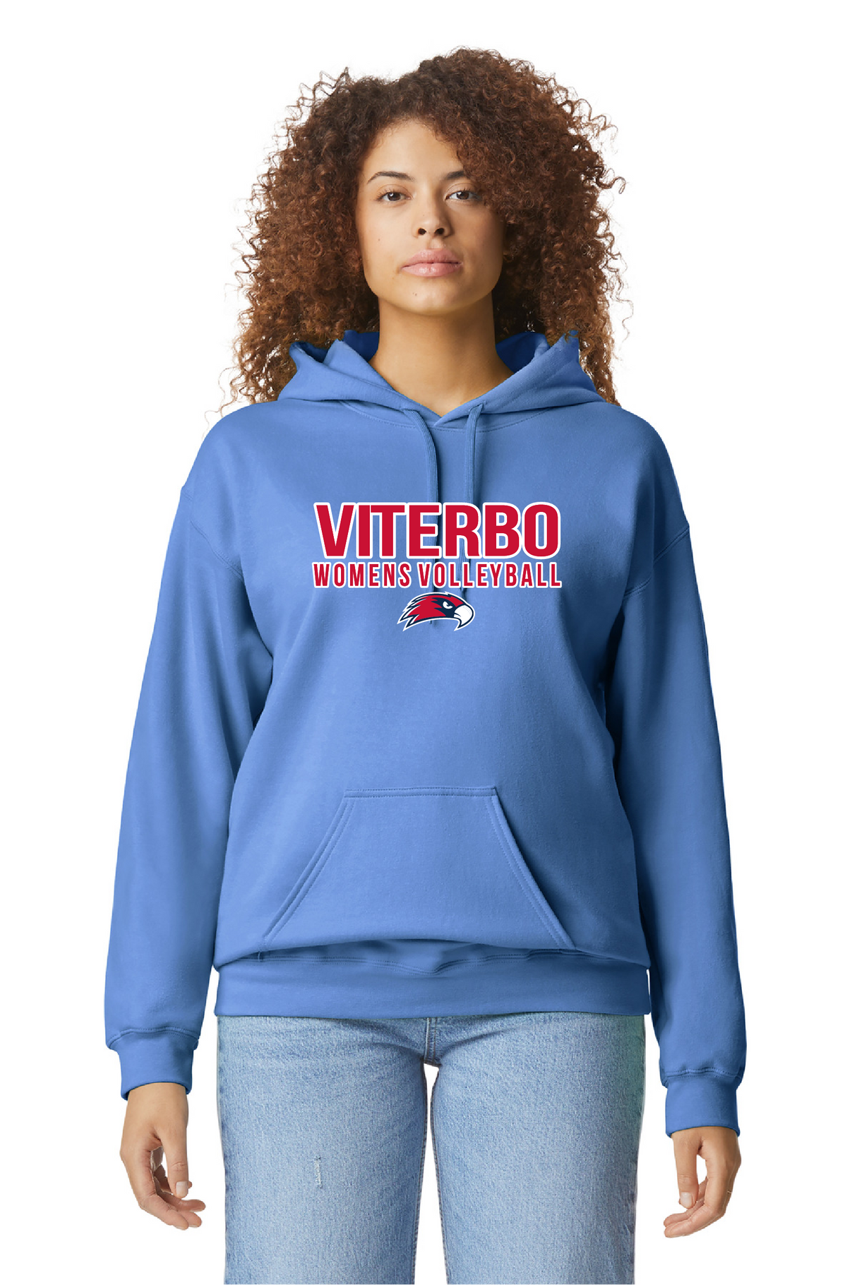 Unisex Softstyle® Midweight Hooded Sweatshirt