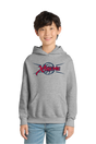 Xtreme Youth Hoodie PORT & CO