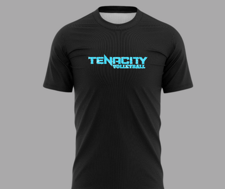 TENACITY distressed logo tee GILDAN