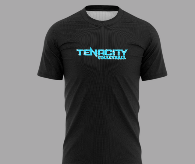 TENACITY distressed logo tee GILDAN